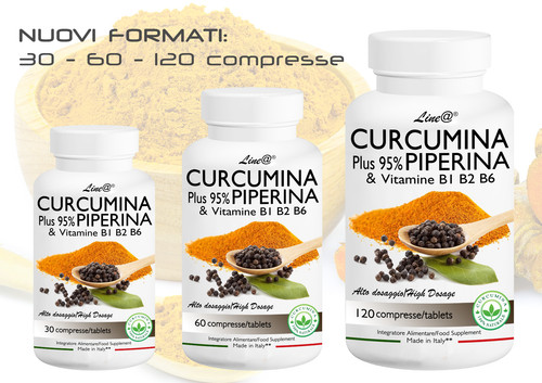 Curcumina plus e piperina - curcumina,